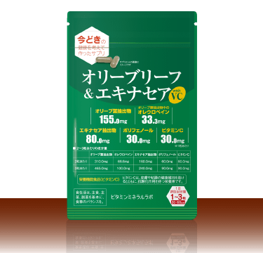 オリーブリーフ&エキナセアwithVCメイン画像
